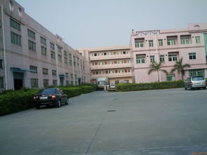 深耕莞邑，服務灣區——深圳市伙伴房地產經紀東莞分公司產品展示與物業管理